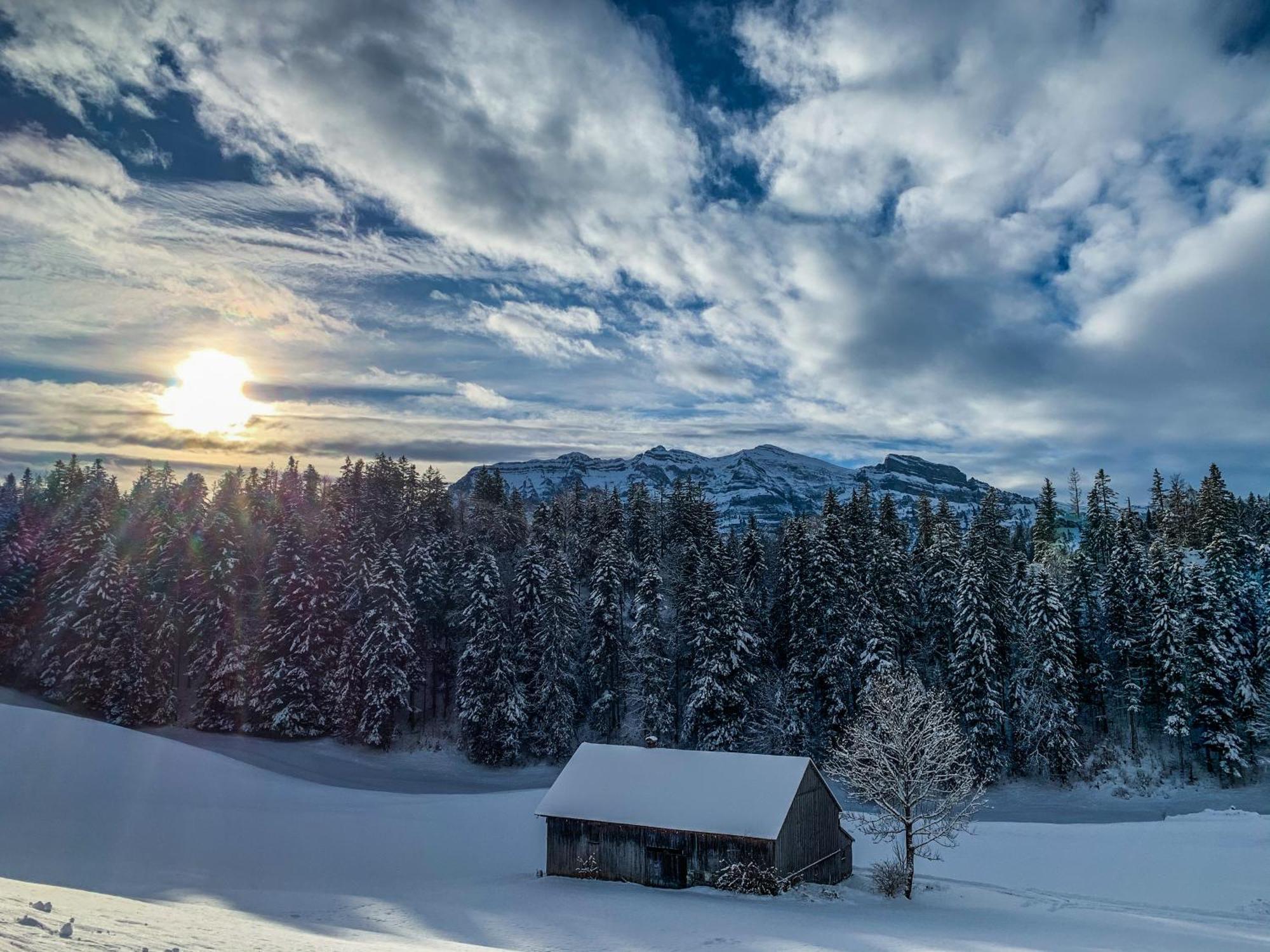 Gaestehaus Graf Bezau Exteriér fotografie
